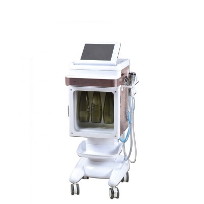 W02 facial cleaning machine/water micordermabrasion beauty equipment/water oxygen facial machine